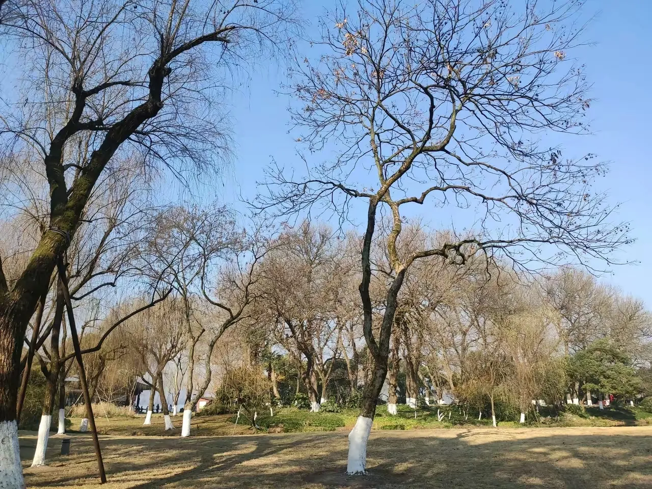 多宝助手：网上购物需谨慎，这些商品千万别在网上买！