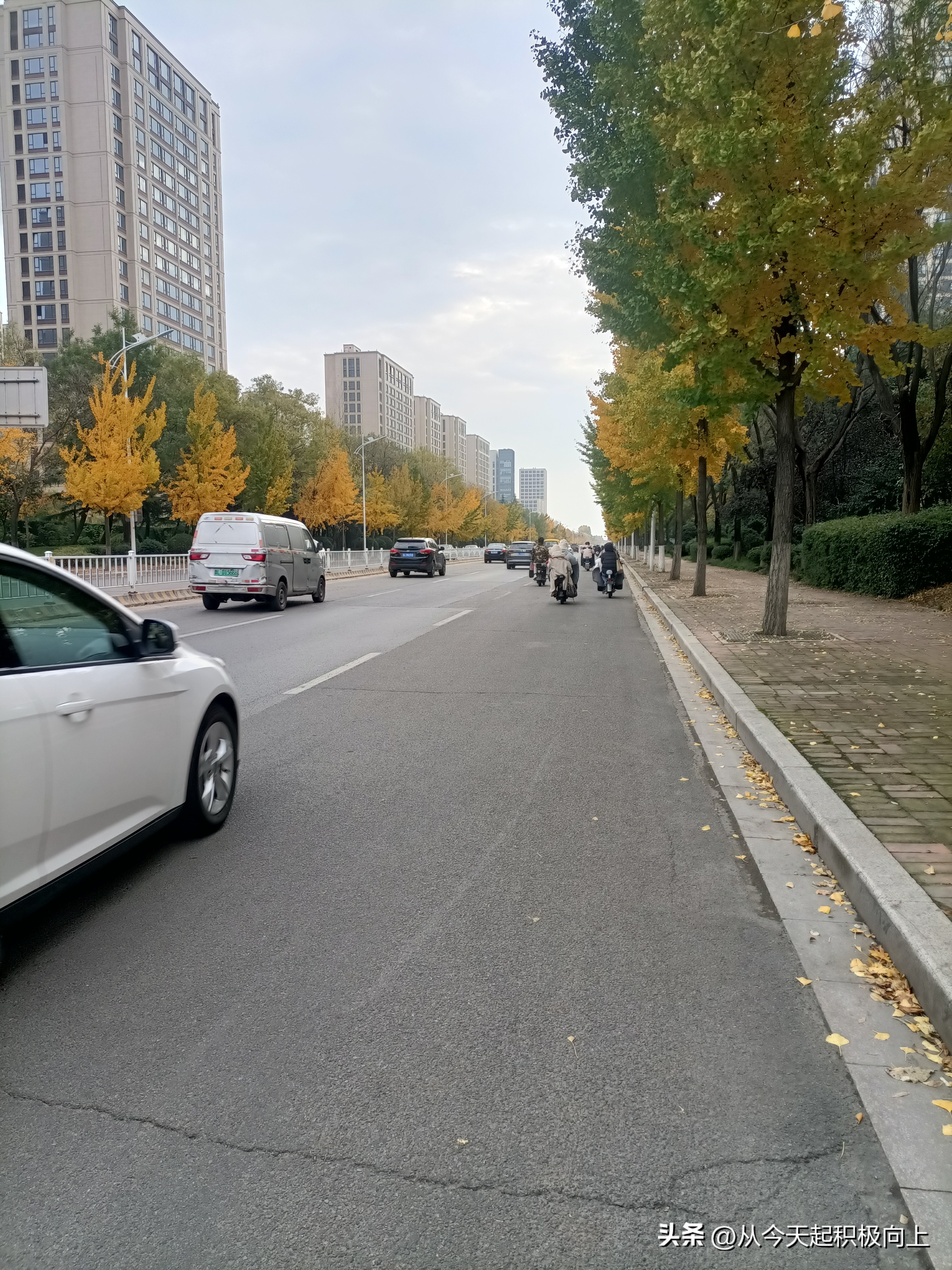 小M助手邀请码：客服工作中的难题，限时红包引发的退款风波与客户投诉