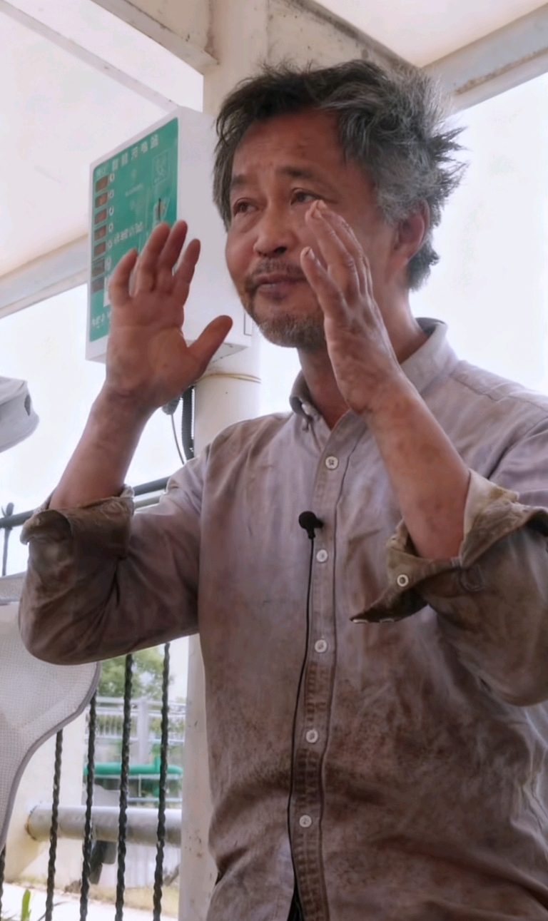 拼多多出评神器软件官网：流浪大师沈巍，从逆境中汲取智慧与坚持的启示