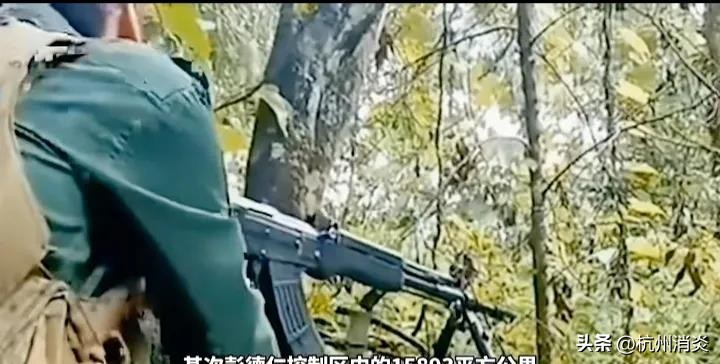 权重大师官网入口：彭德仁困境解析，后勤短缺与依赖外援致战争必败