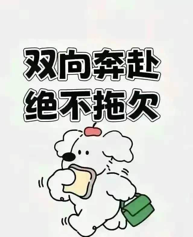 51助手：柠妈怒怼虚假互涨，社交网络中的真实与伪善