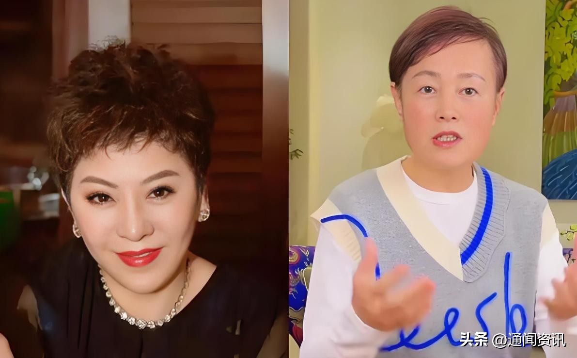 乐多多助手：向太与史晓燕的骂战，娱乐圈的火药味与舆论风暴