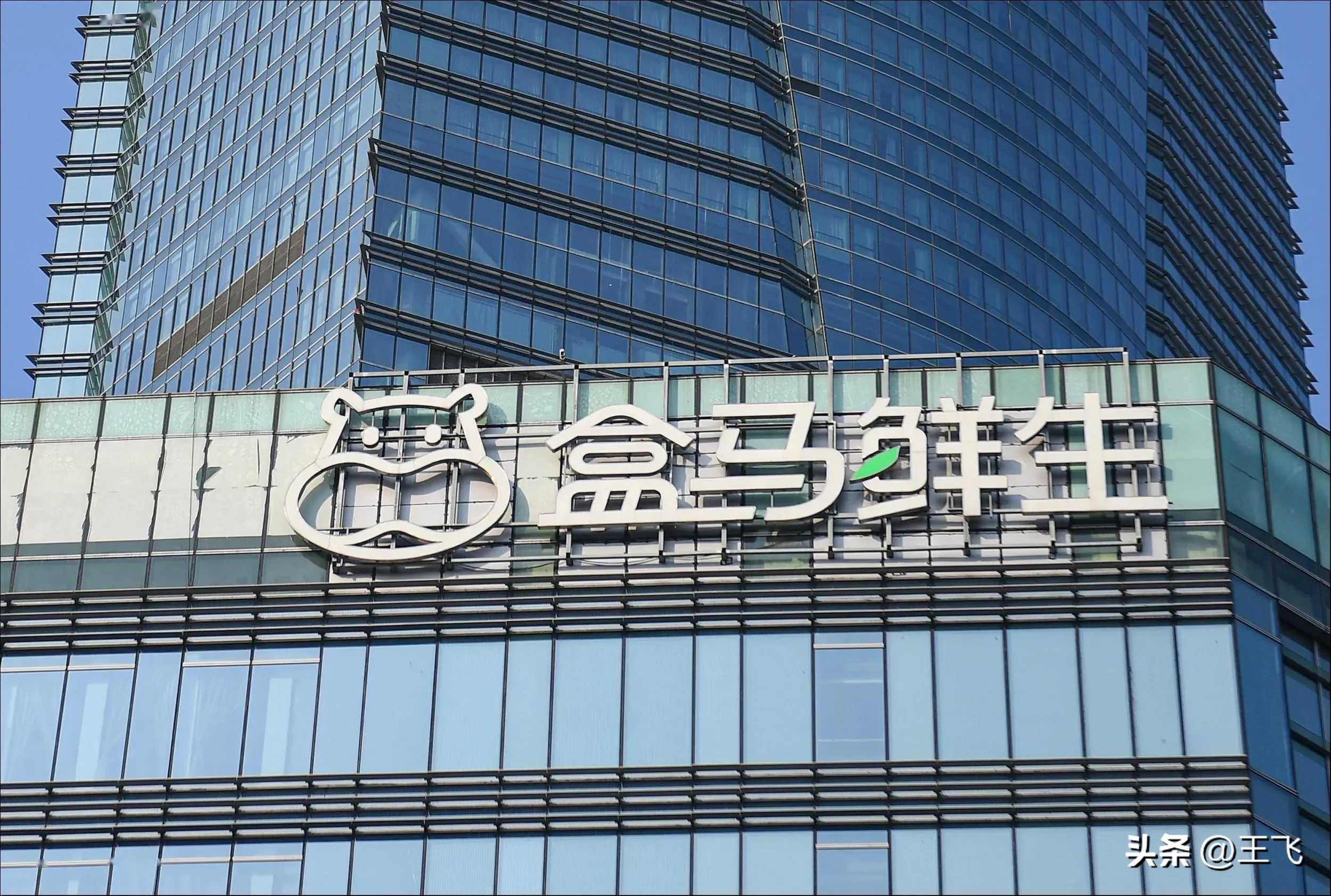 番茄管家下载：盒马鲜生十年发展再迎新店扩张，市场竞争力提升分析