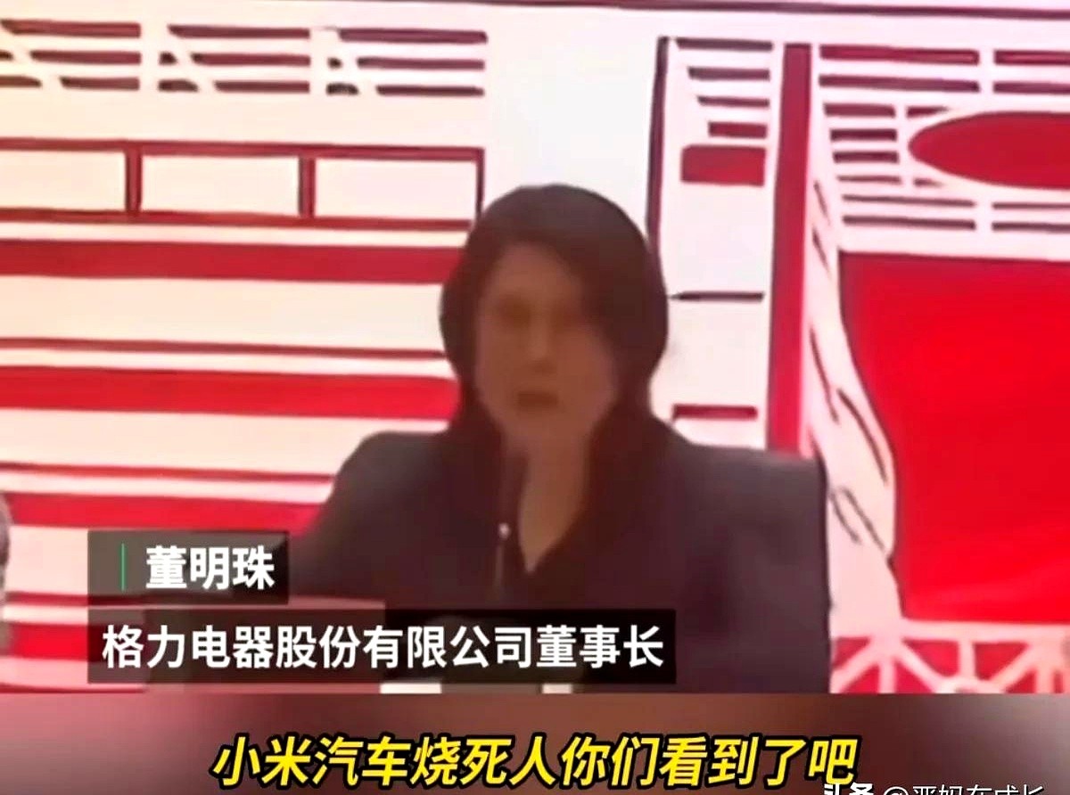 小评评助手出评软件：董明珠对小米发炮，商战暗流再起！格力与雷军的较量谁能胜出？