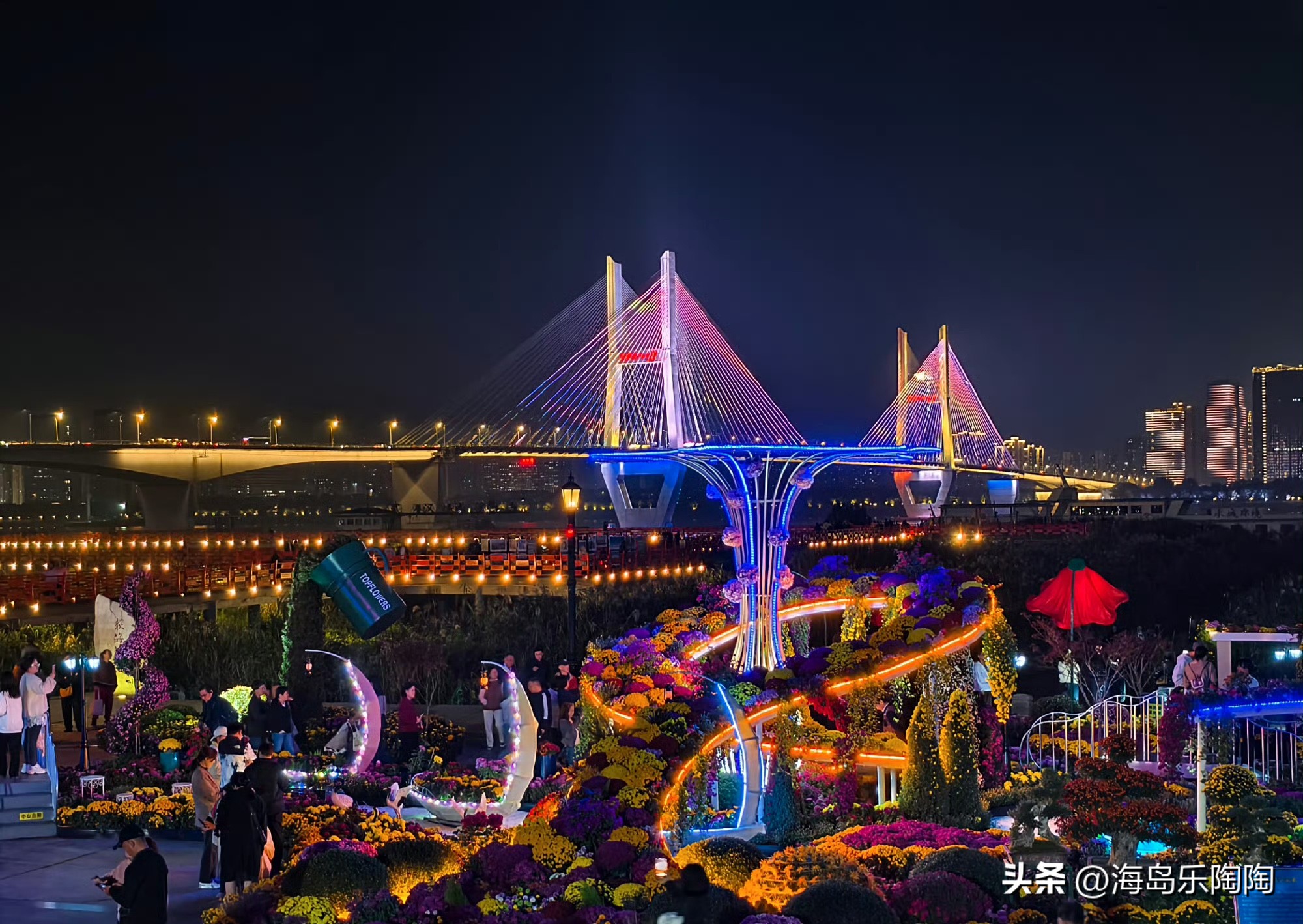 易出评出评软件：武汉秋菊展，赏菊游江城，感受长江之美与文化盛宴