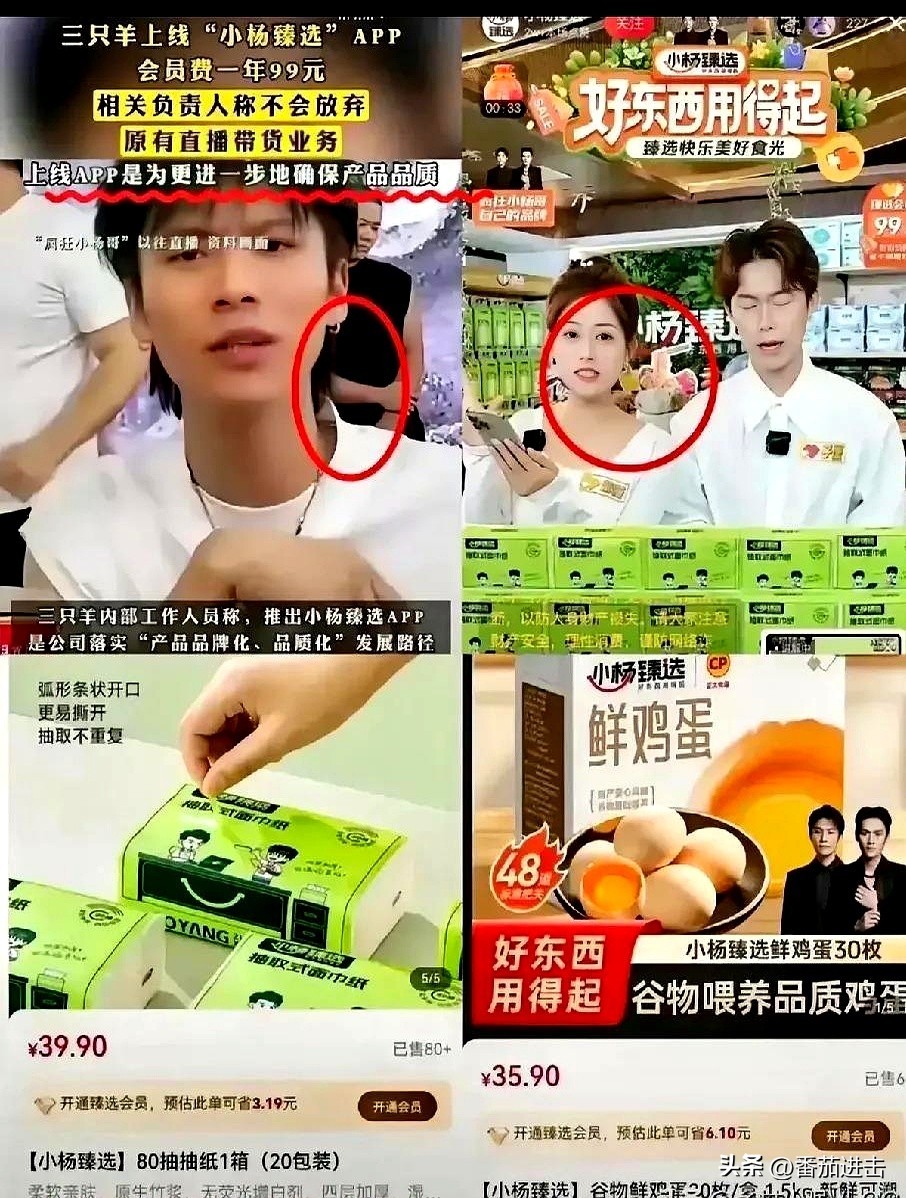 皮皮助手出评软件：小杨哥复播新APP尝试，冷清直播与粉丝支持的现实挑战