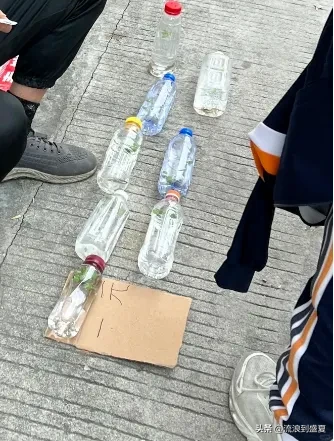 51助手靠谱吗：一元钱的故事，温暖东莞卖鱼老板与善良邻里的感人瞬间