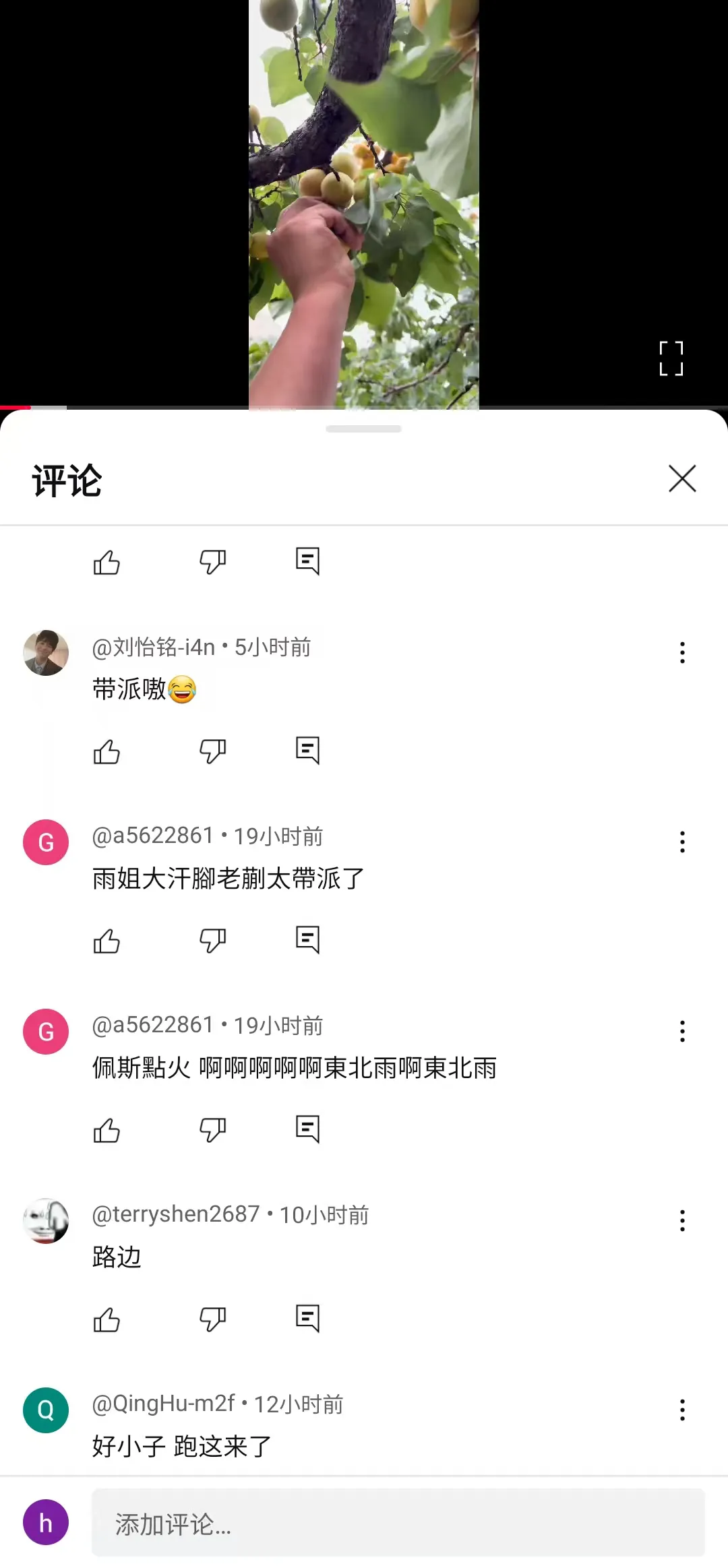 要火助手：东北雨姐短视频回归海外，舆论风波再起引关注与反思