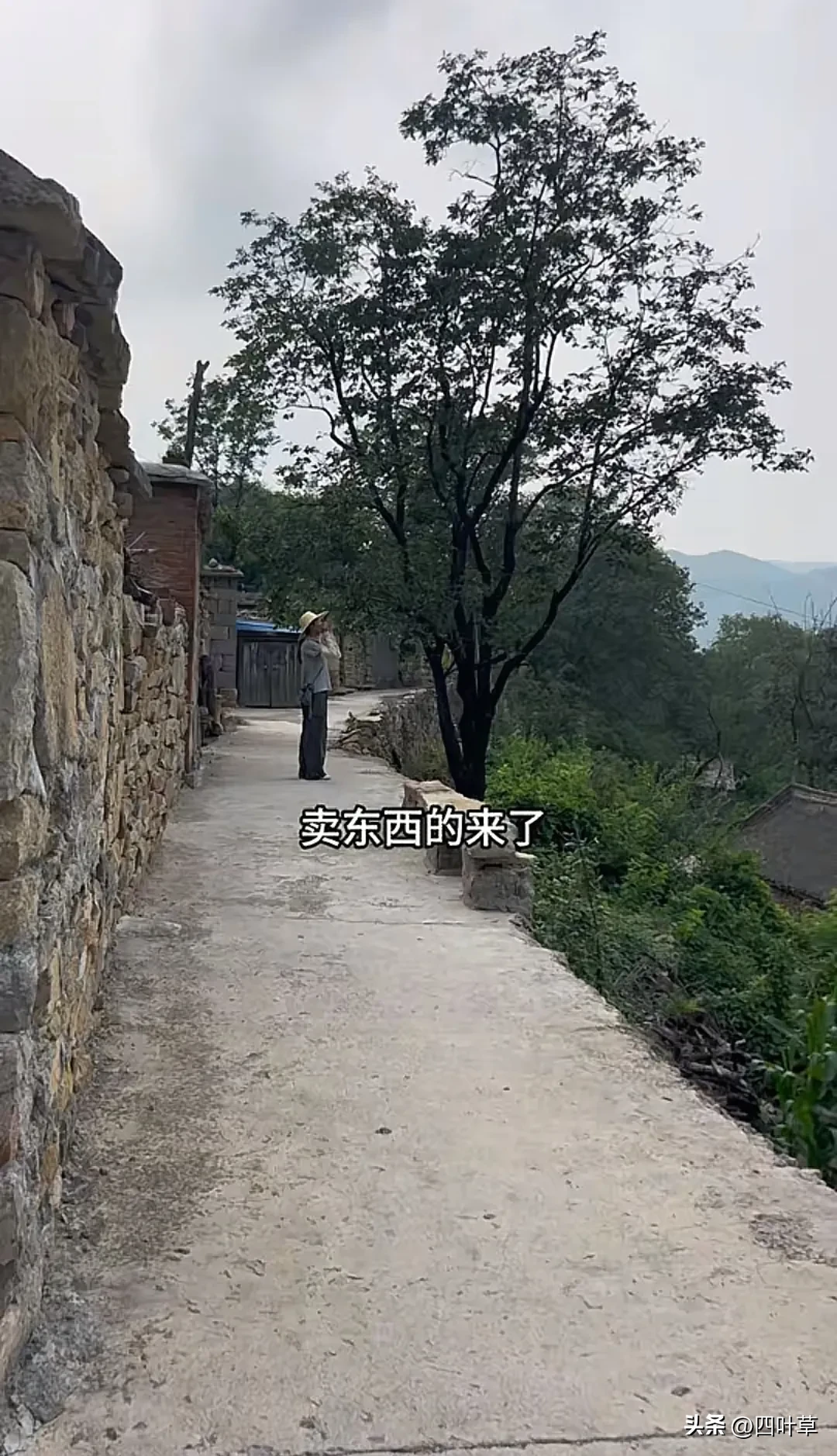 拼多多改销量靠谱吗：网红李富贵，坚强女孩的善良故事与农村卖货之路