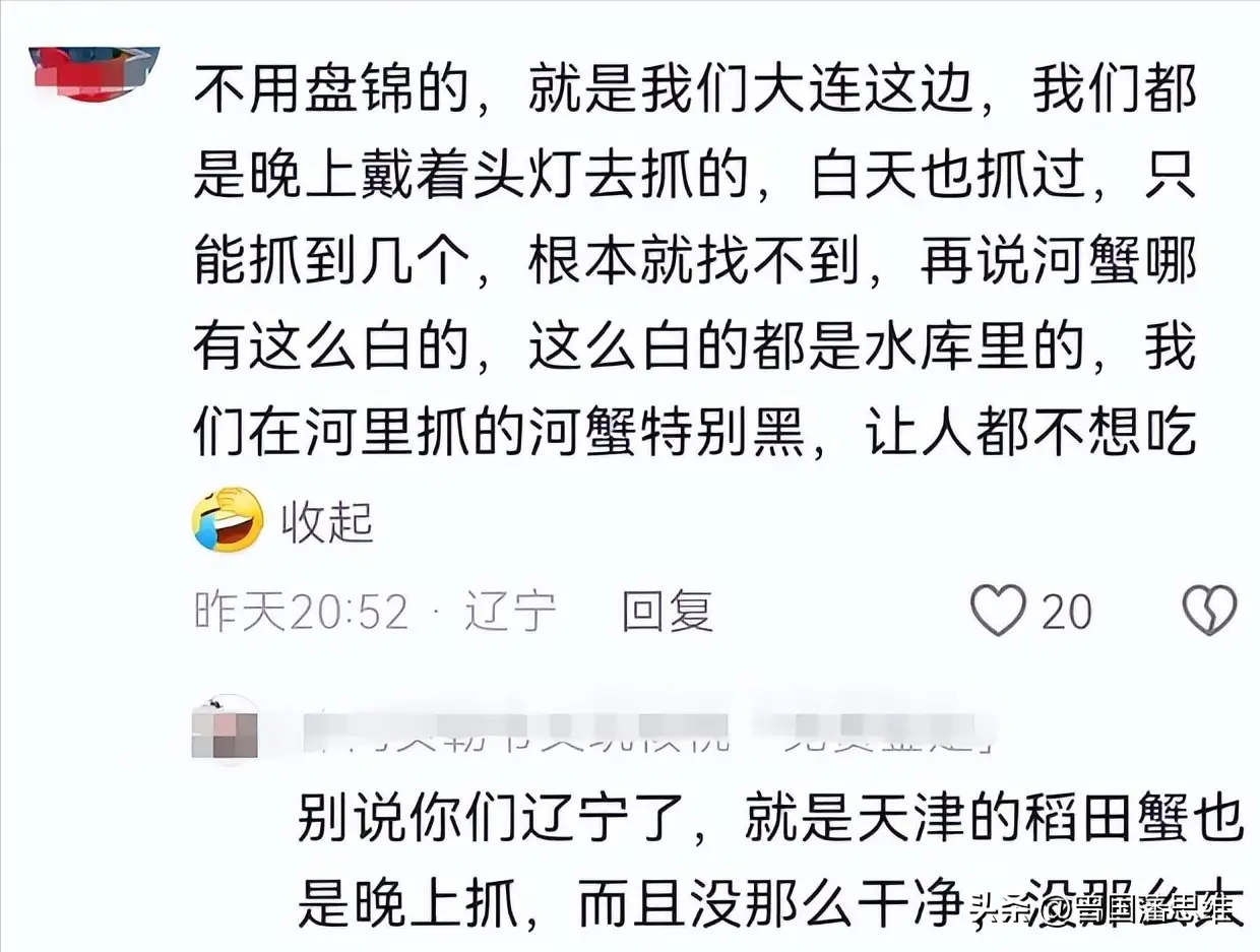 易出评操作步骤：东北雨姐稻田螃蟹视频遭质疑，乡情与真实的深刻拷问