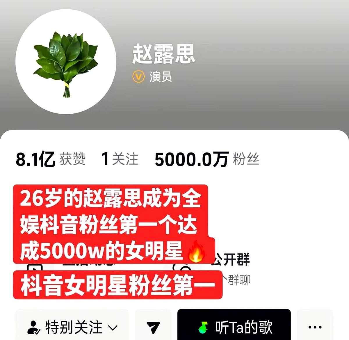 小J助手：赵露思如何通过真实内容吸引一亿粉丝，揭秘短视频的成功秘诀