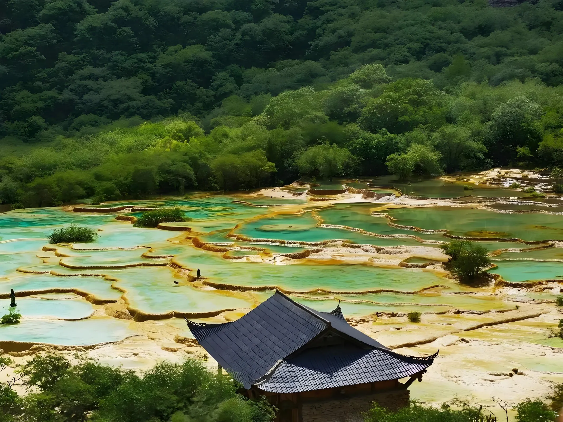 权重大师邀请码：四川十大必游景点推荐，青城山、峨眉山、九寨沟等自然与文化之美