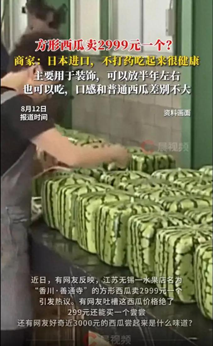 领航助手：无锡方形西瓜售价2999元，进口果品为何如此昂贵？