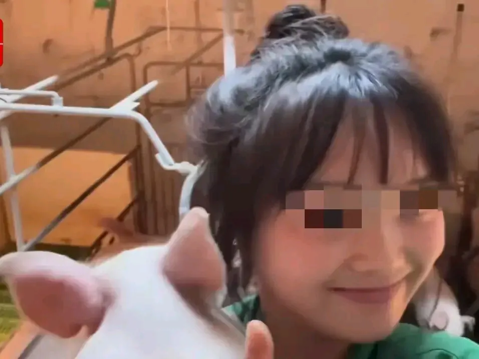 神龙助手：体面与收入的辩论，23岁女子勇敢选择养猪场工作引发思考