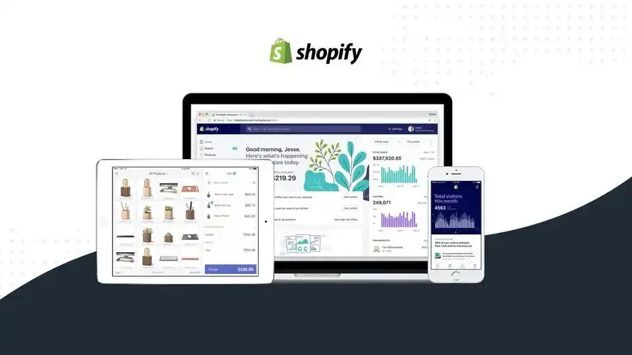 小评评助手补单软件：Shopify电商平台，机遇与挑战并存的创业之路解析