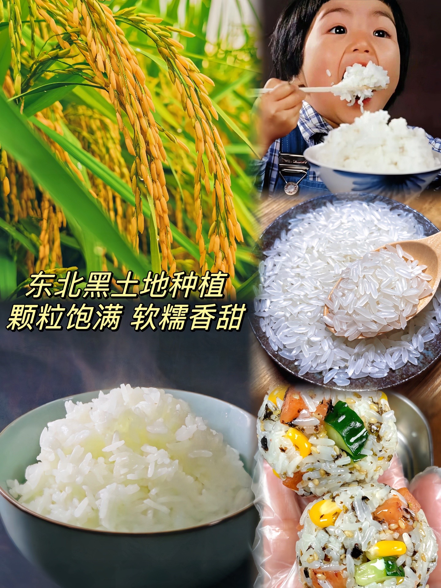 云赞助手：从黑龙江寄来的五常大米，一碗好饭带来的惊喜与幸福
