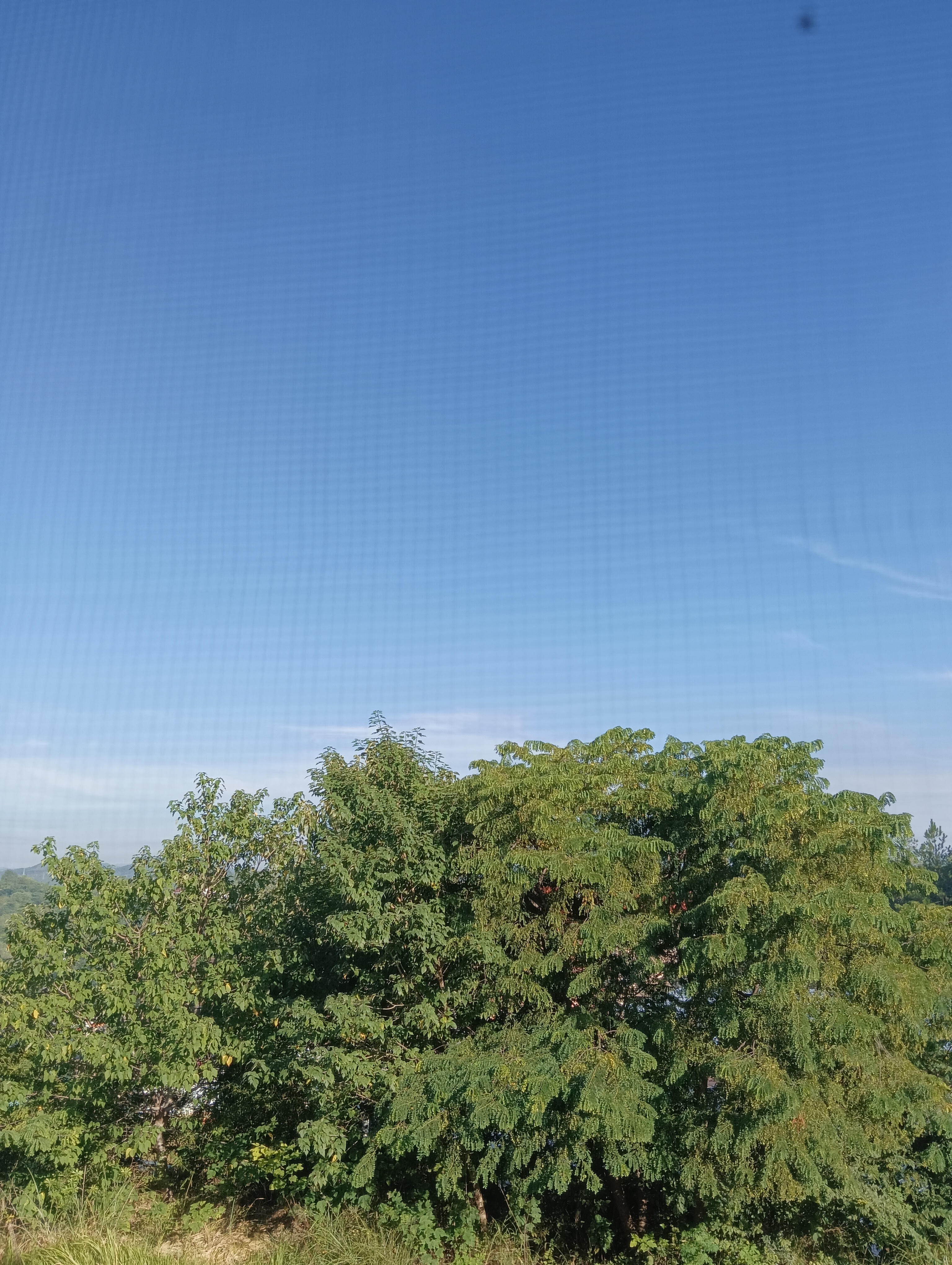 夕夕助手：理解头条，创作者如何通过丰富内容吸引读者和提升点击率