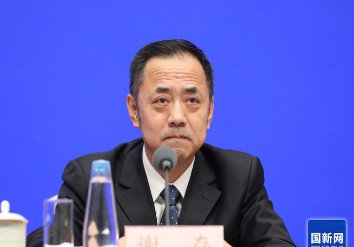 DD助手：2025年全面实现电信业务线上办理，提升用户体验与服务效率