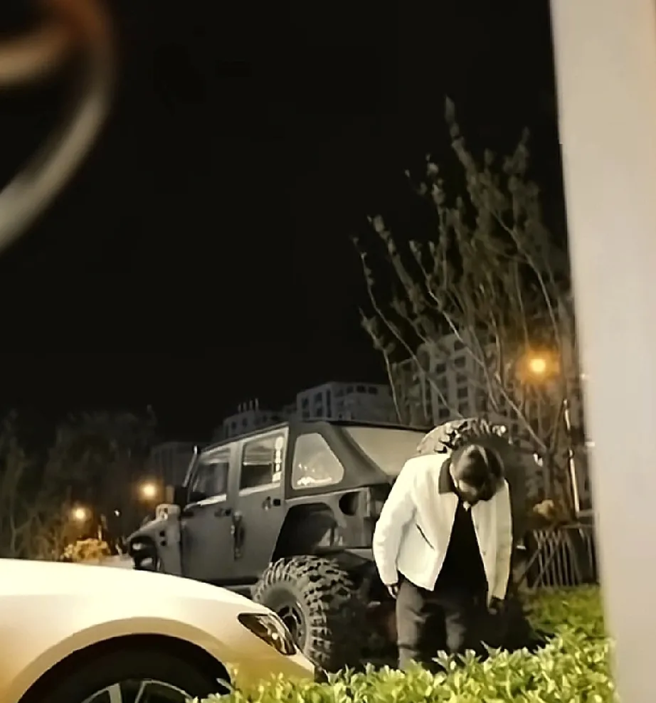 番茄助手：小杨哥深夜暖心互动，展现明星真诚关怀与亲和力