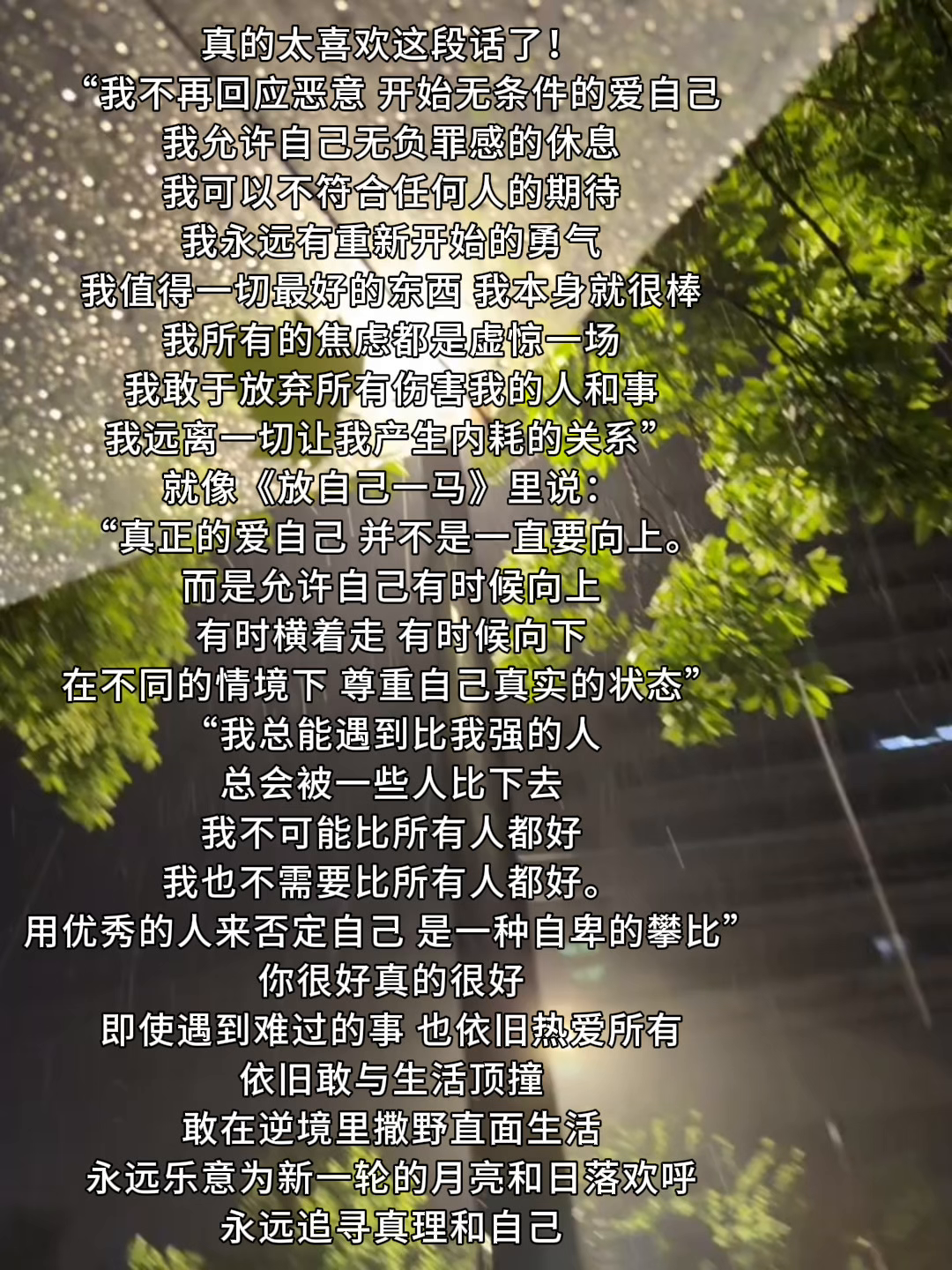 51助手补单软件：学会无条件爱自己，拥抱真实与勇气的生活态度