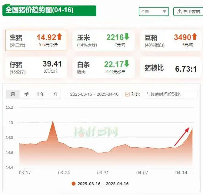 多多自动批发：生猪价格大涨，养殖户乐观消费者担忧，未来市场走势分析与建议