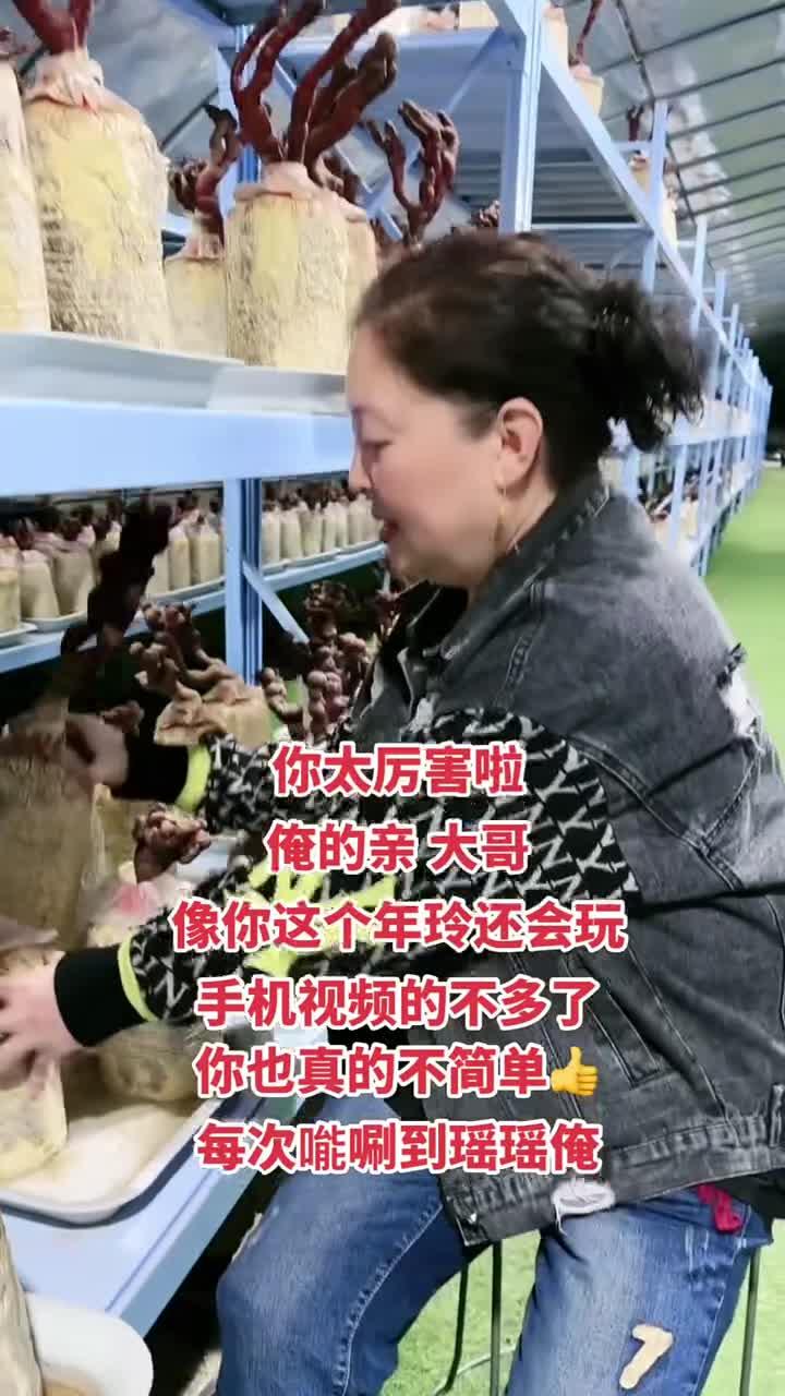 多多留评app：熟练掌握手机支付与网购，新时代的现金交易转变