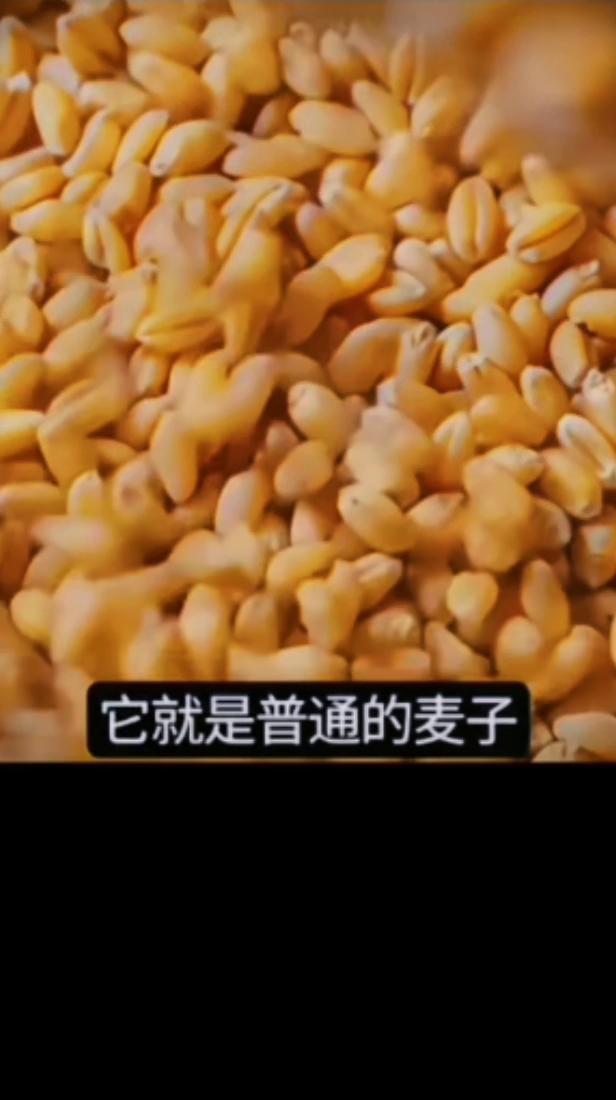 51助手软件：传统中药材的独特价值，为何驴皮、人参等有其特别之处