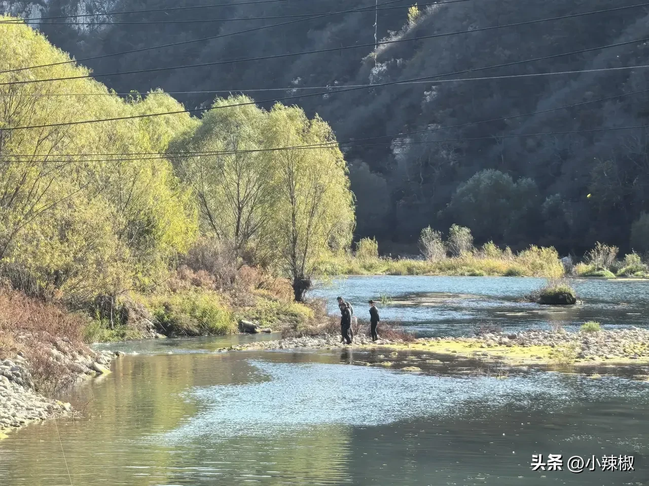 增强助手下载安装：伊朗与以色列的博弈，复杂关系中的权力与利益较量