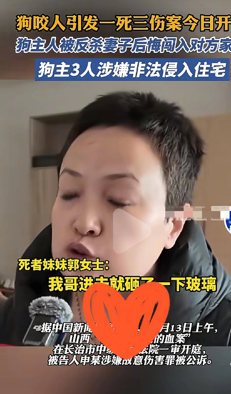 小店管家出评软件：政协委员狗咬邻居事件，道德与法律的双重缺失