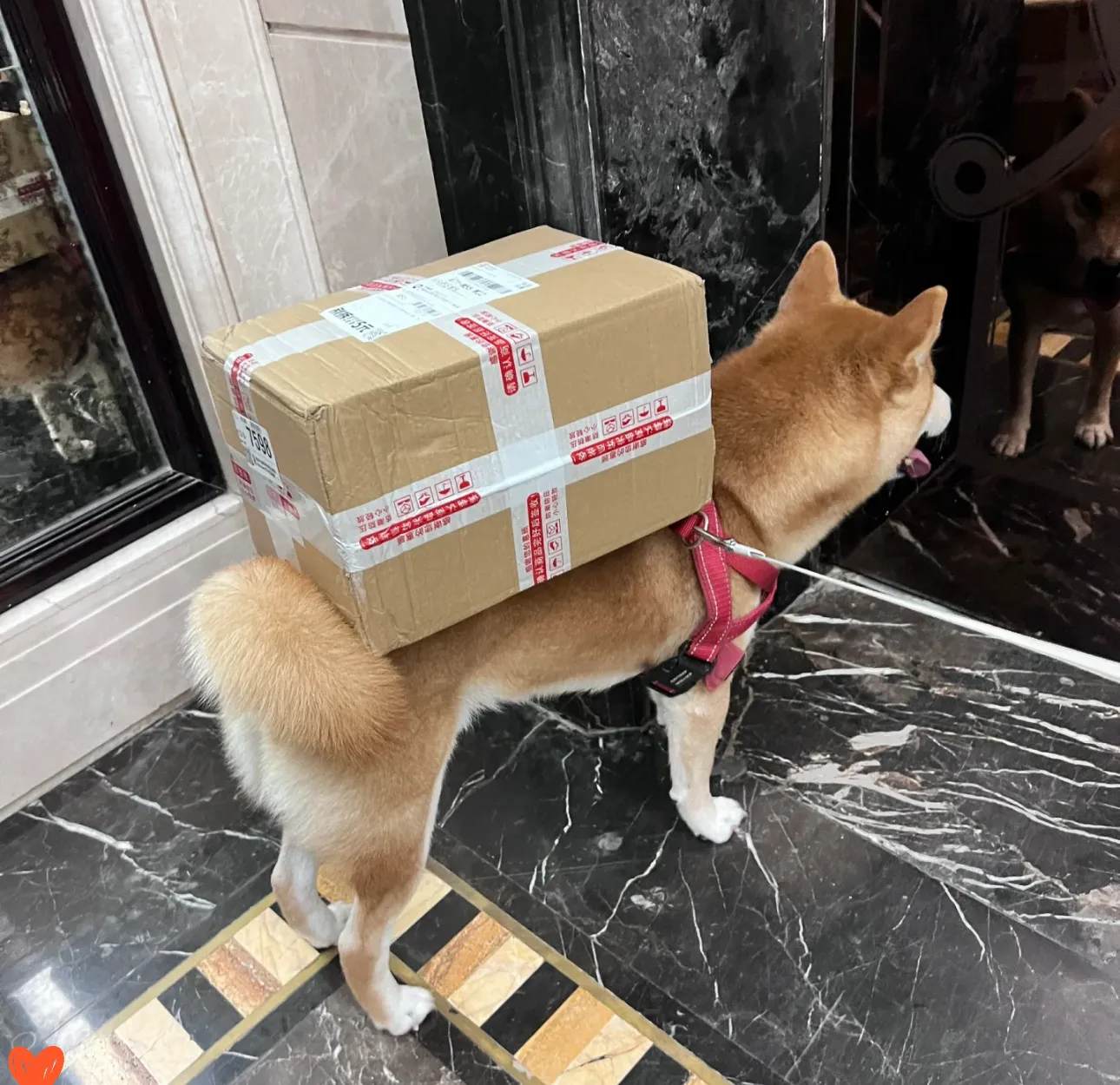 J助手：拼多多退货自付运费不再烦恼，教你如何申请运费险报销！
