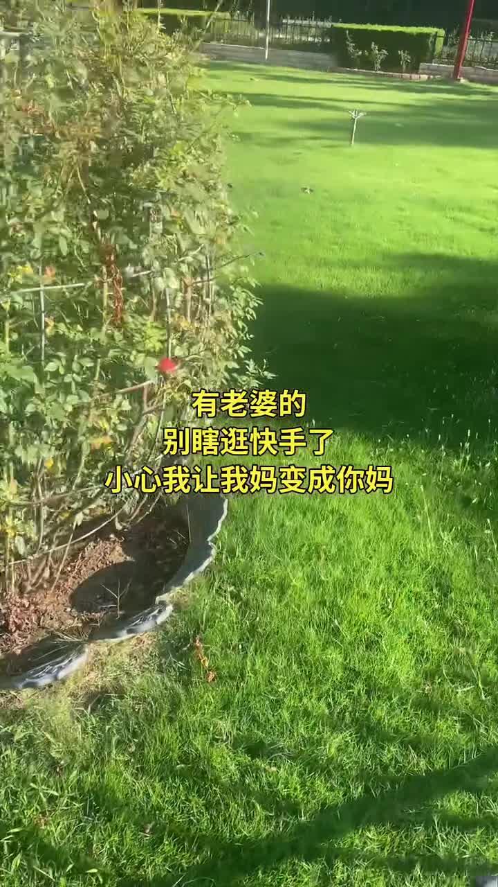 要火助手：过度沉迷快手影响现实生活，如何平衡虚拟与真实的关系？