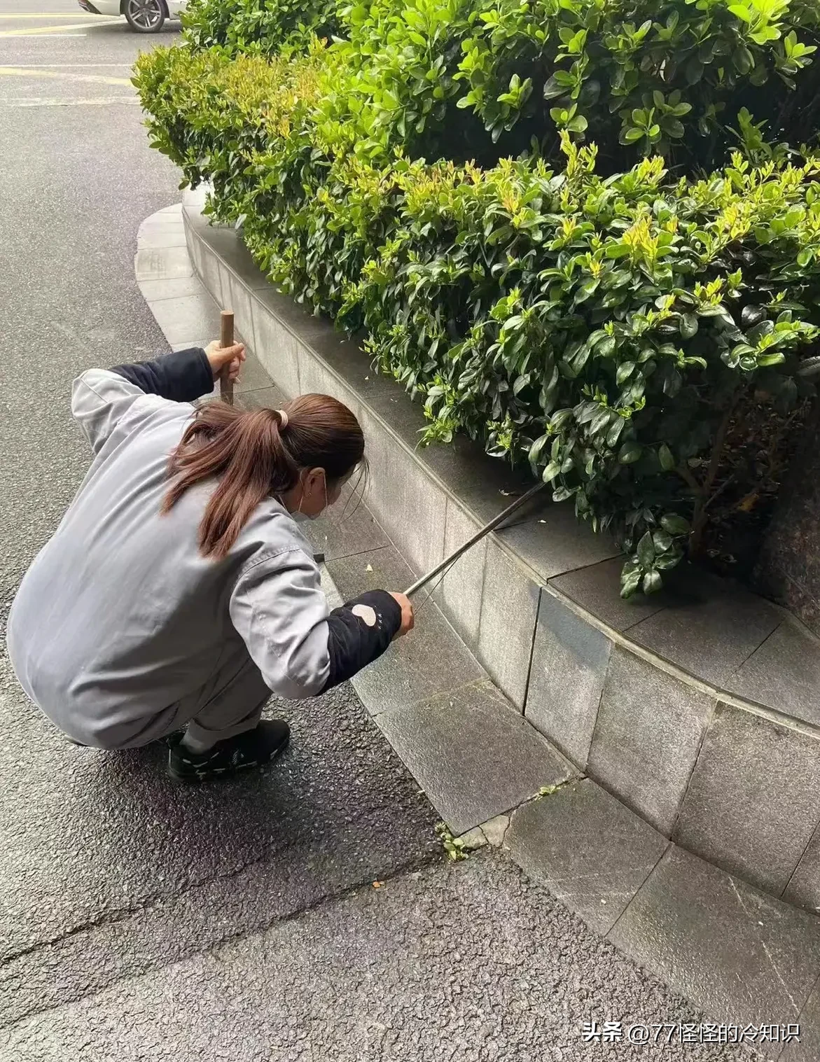 新小x助手：网红主播惹众怒，丢杯事件引发保洁员遭遇暴力与社会反思