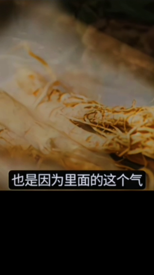 51助手软件：传统中药材的独特价值，为何驴皮、人参等有其特别之处