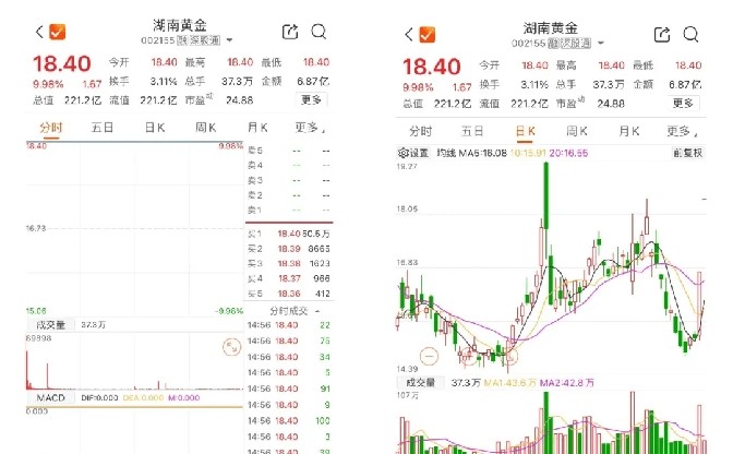 多多出评软件：湖南黄金股价暴涨背后，超1000吨黄金储量真相与市场炒作分析