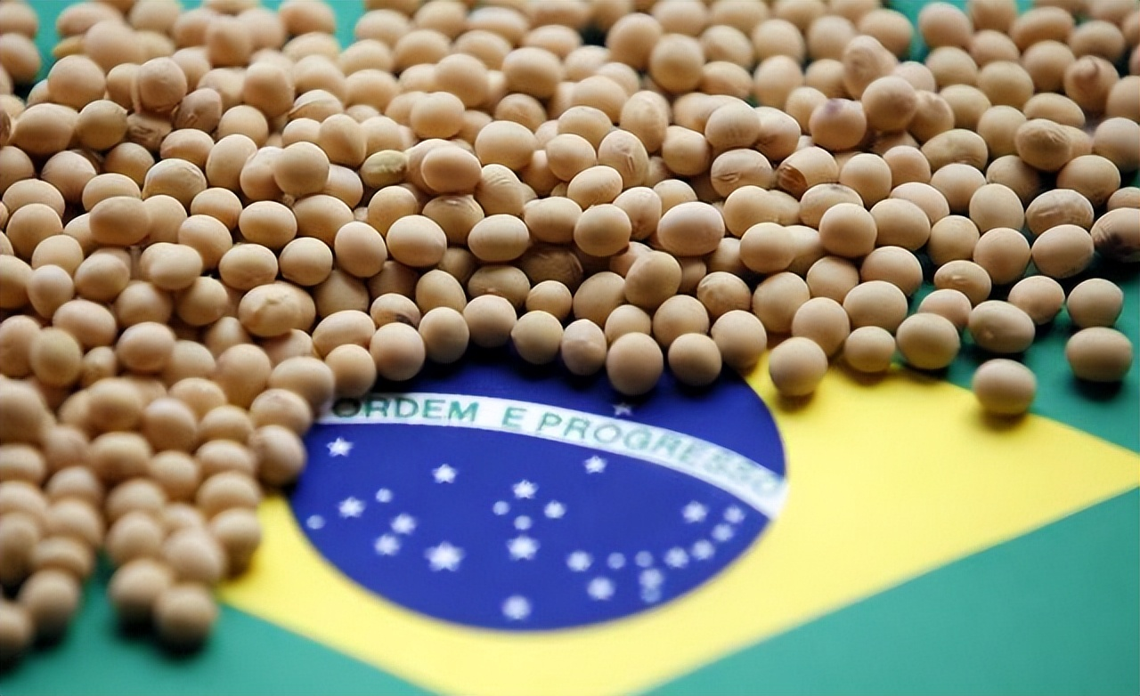 魅力狗:巴西大豆价格飙升,中国买家暂停采购背后的市场博弈与粮食安全策略 魅力狗:巴西大豆价格飙升,中国买家暂停采购背后的市场博弈与粮食安全策略