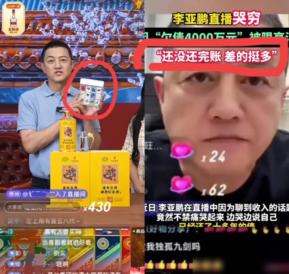 多多留评工具：罗永浩与李亚鹏直播带货之道，成功与失败的深刻对比分析