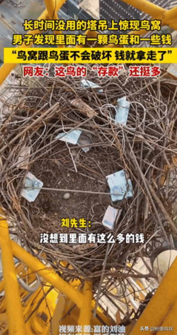 易评助手软件下载：西安塔吊师傅意外发现喜鹊窝，竟藏现金和鸟蛋，网友直呼躺着赚钱！