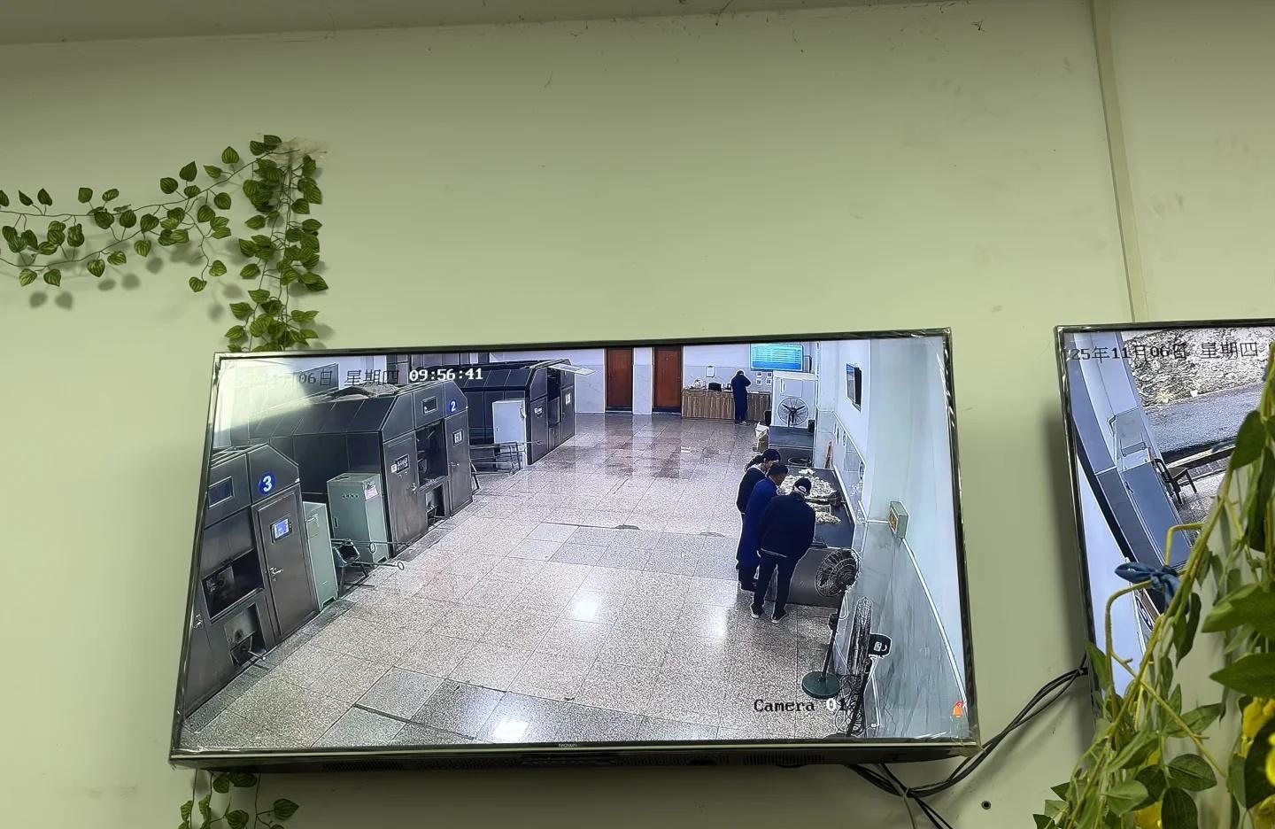 51助手下载安装：怀念母亲的点滴瞬间，失去与爱的心灵独白