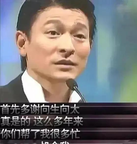增强助手：刘德华倾诉债务危机，向太豪爽支票温暖人心