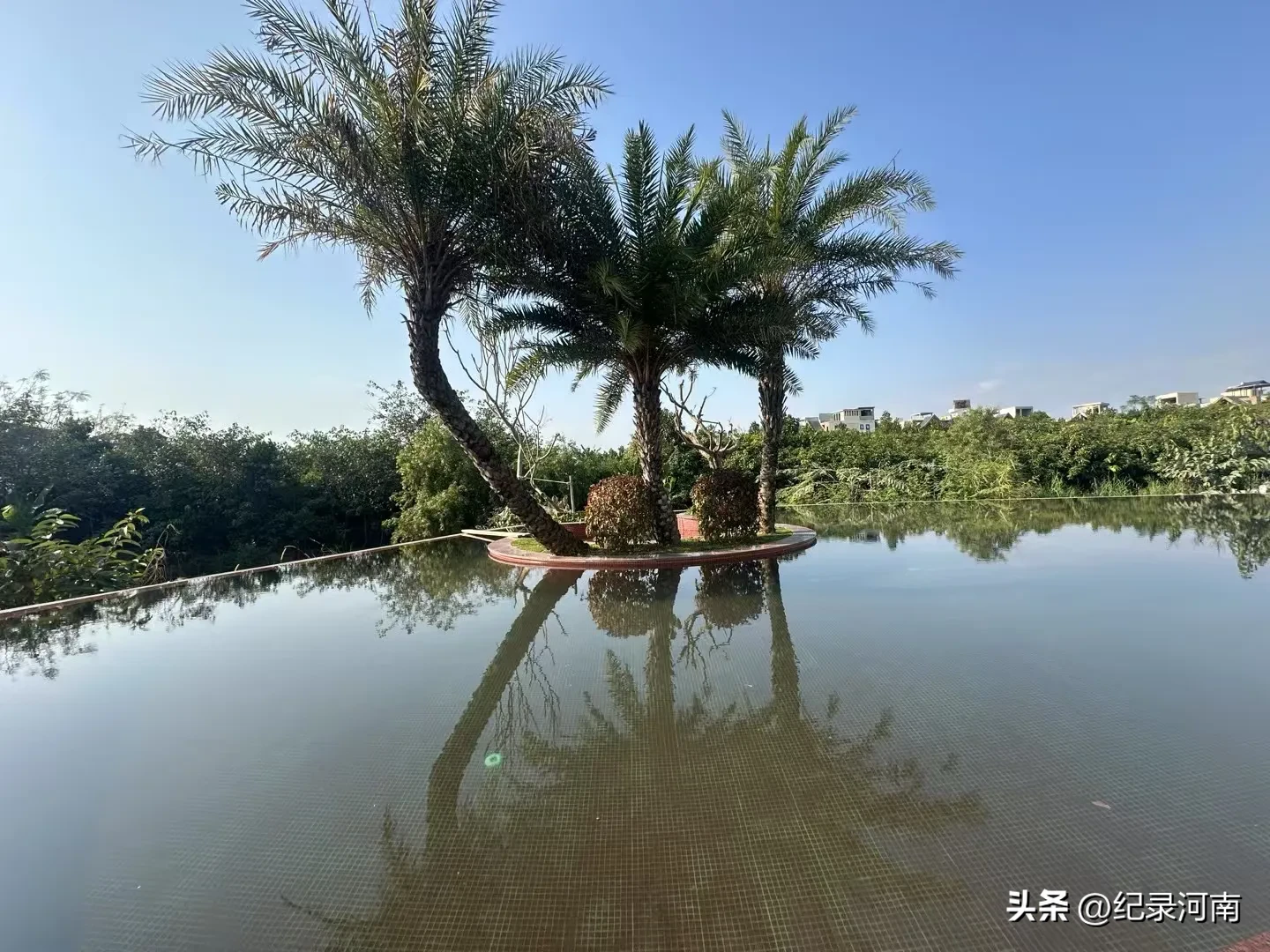小G助手下载安装：小区经济新模式，免费服务与分红提升居民生活幸福感