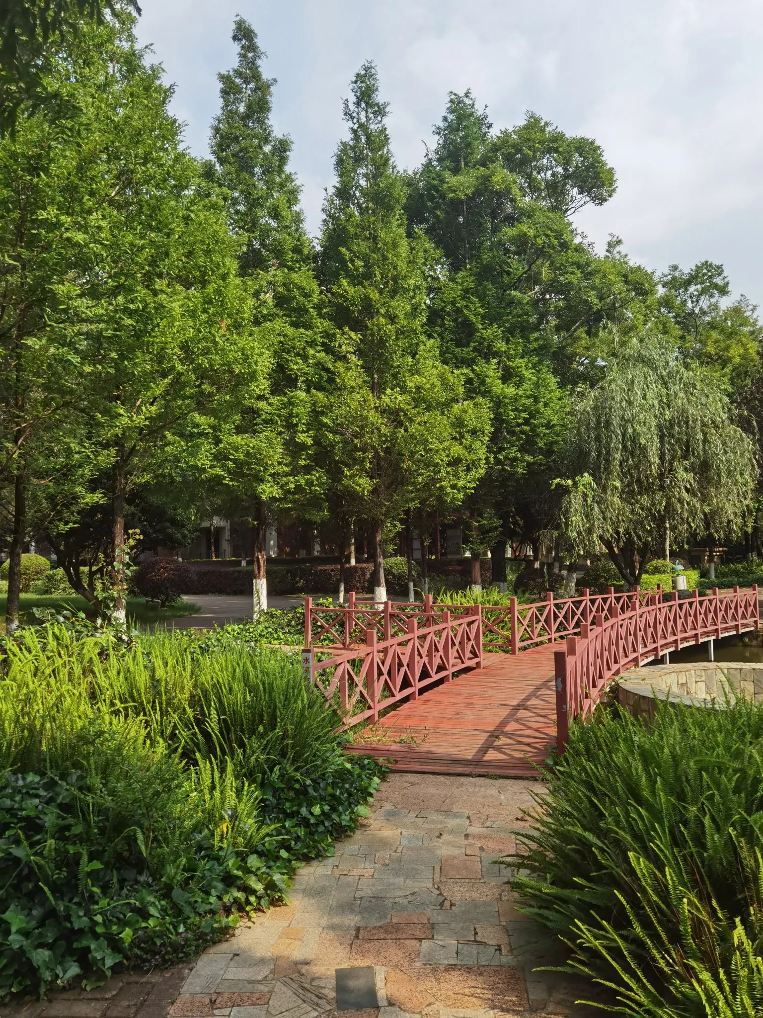 DD助手拼多多：驯服内心的仇恨，发现外界没有敌人，实现真正的自由与快乐