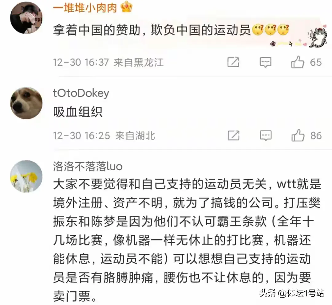 小G助手怎么用：WTT运营困境深层探讨，运动员权益与商业利益的博弈