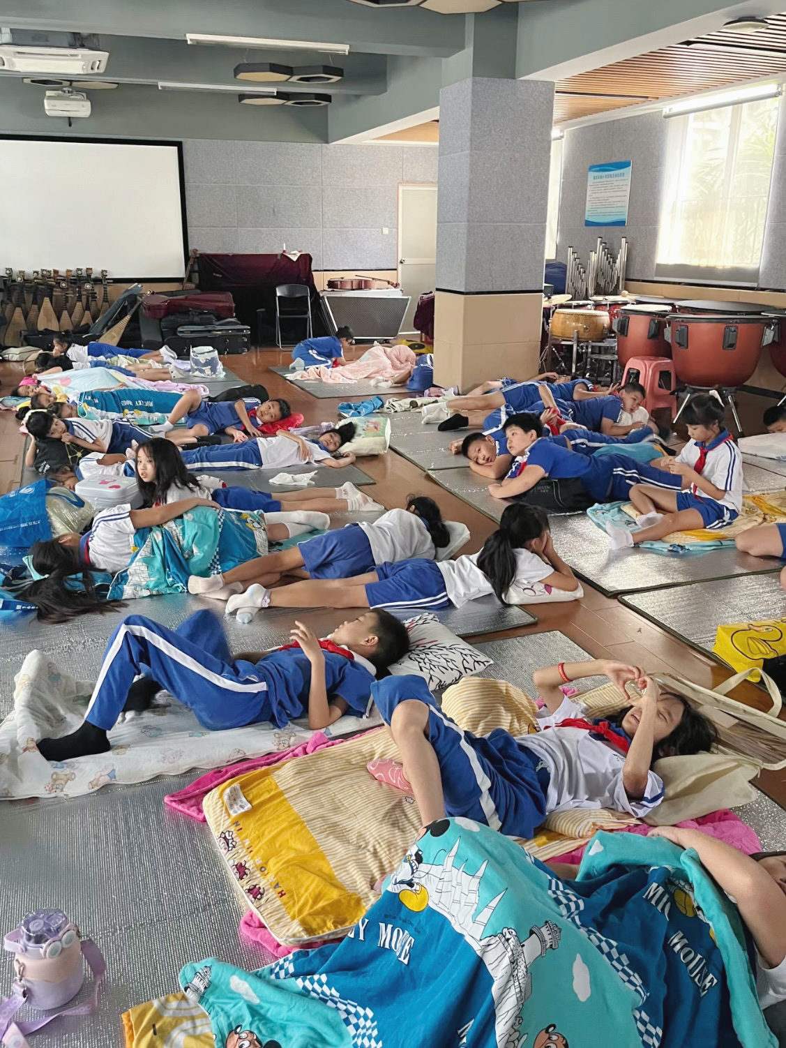 小评评助手：利用B站学习，三年级孩子的高效免费教育资源分享