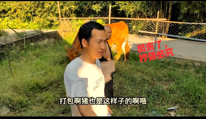 语音助手：广西小勇，从穷小子到自媒体成功者的逆袭之路