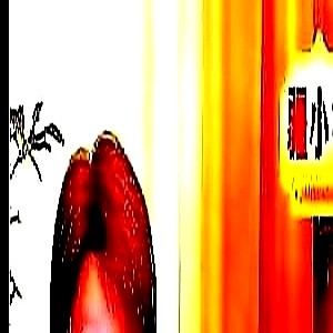 小U助手：七十岁梁小龙，坚持锻炼与直播带你重拾人生激情