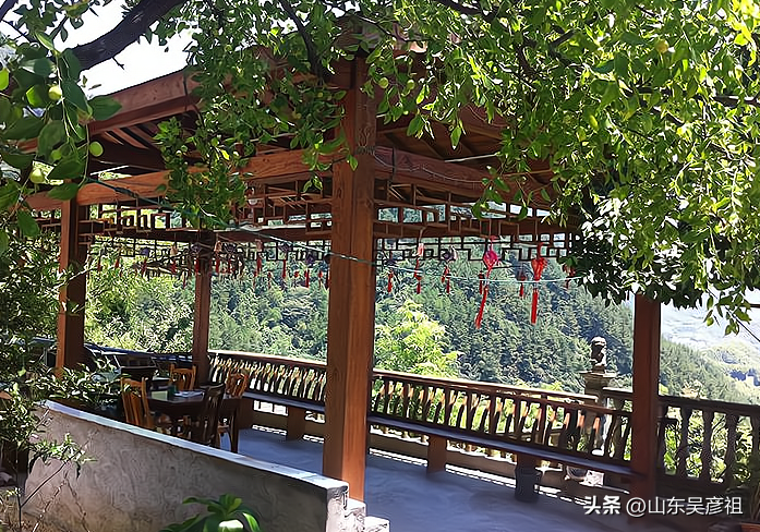 权重大师下载官网：过年后生意选择，16个高风险项目，切勿轻易尝试！