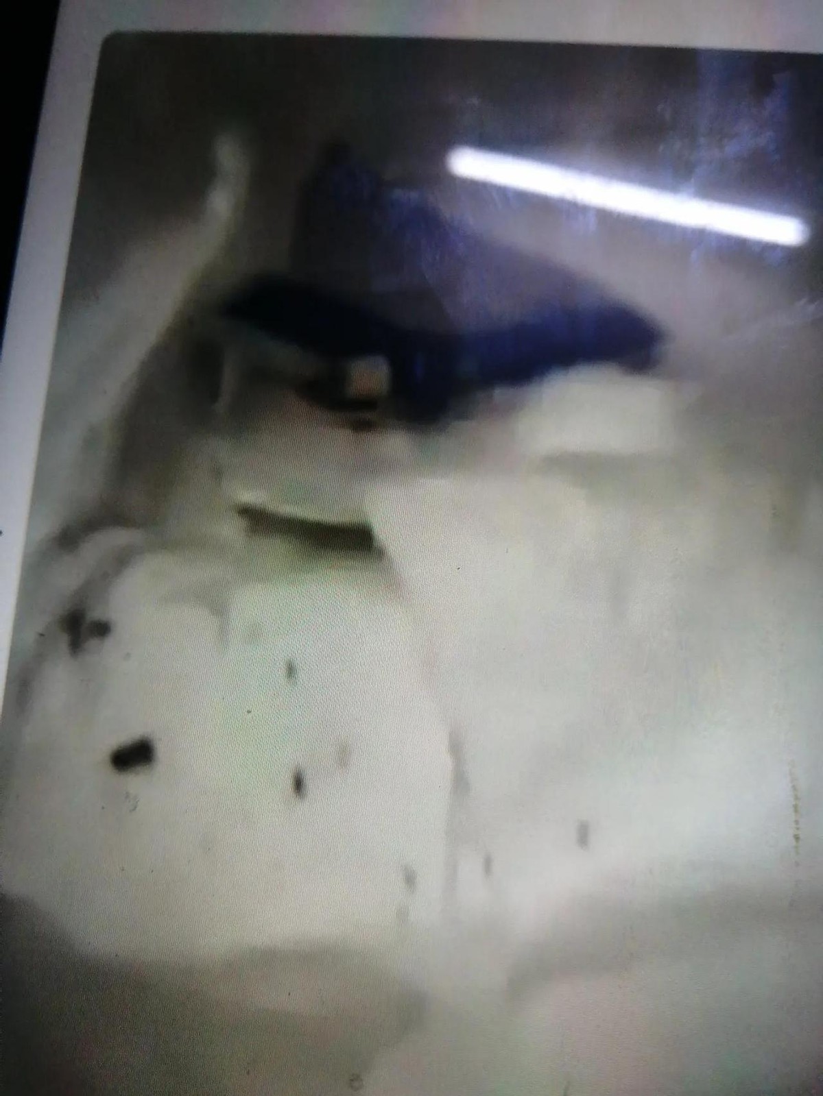 易评助手下载安装：网购惊现“重磅惊喜”，西安女子收到包裹中的两斤屎引发热议
