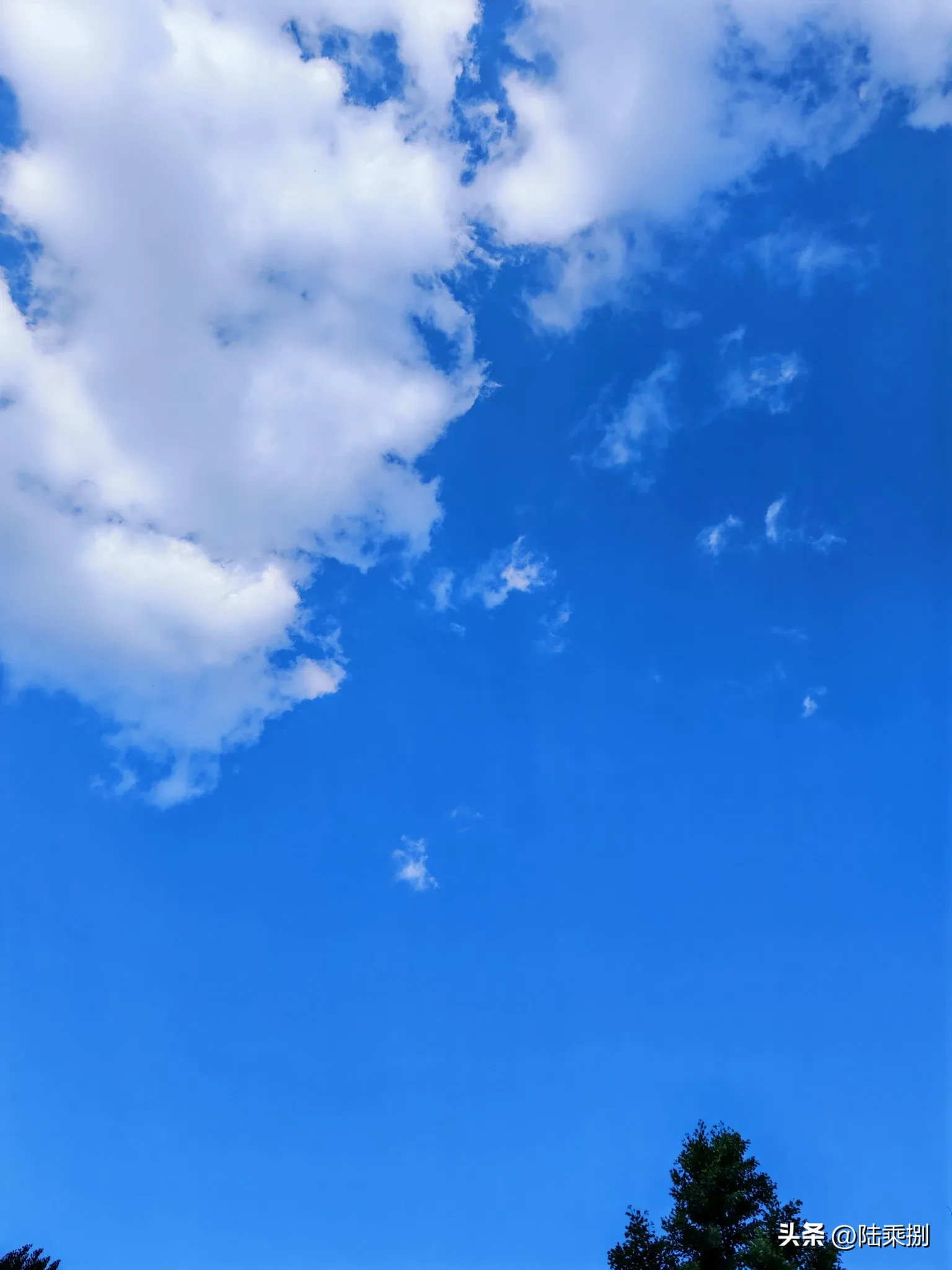 小G助手使用方法：老公迷上网购，揭秘从小件到全方位购物的趣事与心得