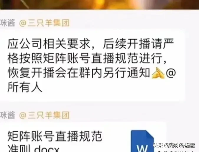 粉团助手网站：三只羊集团杨哥的“不要脸”营销，挑战底线与信誉的代价