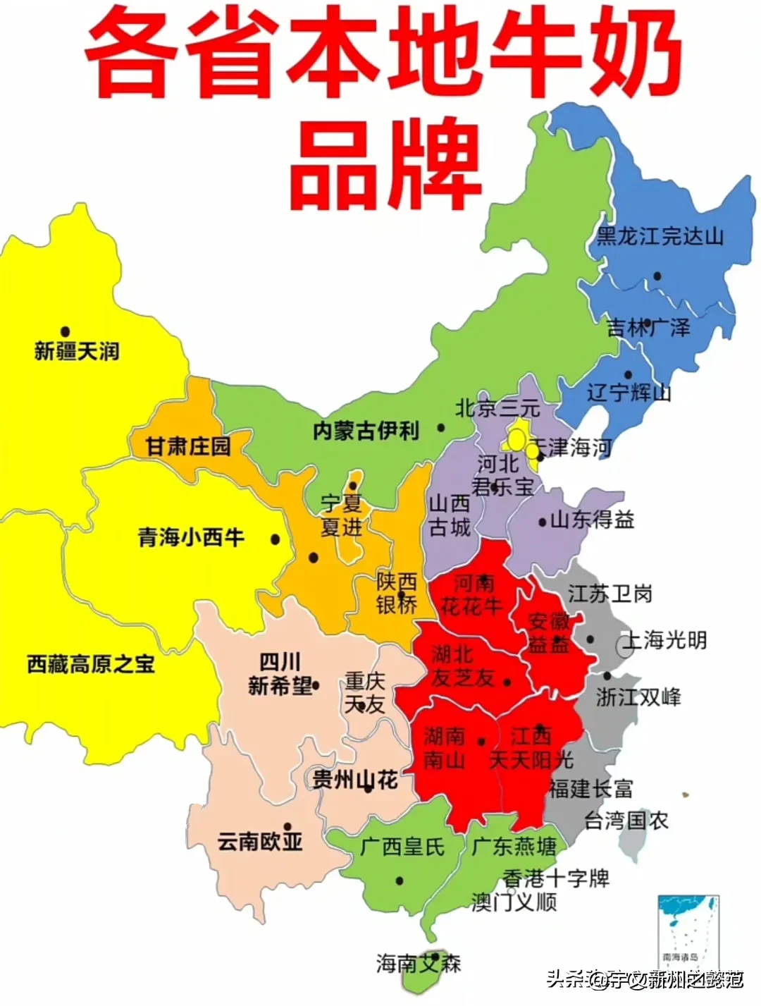 权重大师卡密：各省本地牛奶品牌大盘点，深受喜爱的国民奶与特色推荐